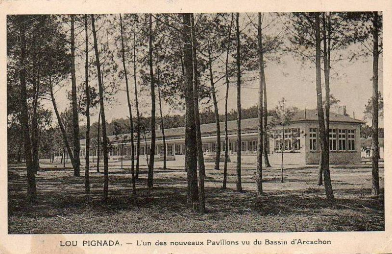Carte postale ancienne Claouey - La Pignada 5