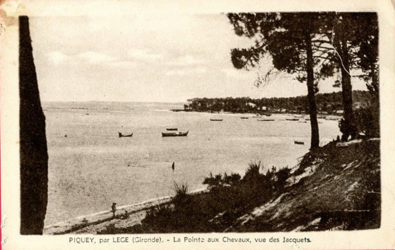 Carte postale ancienne Piquey - La pointe aux chevaux