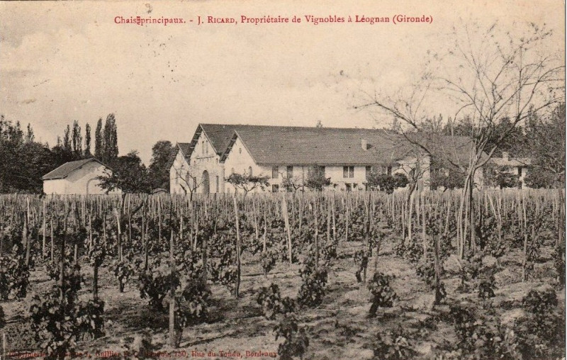 Carte postale ancienne Léognan - vignobles Ricard 1