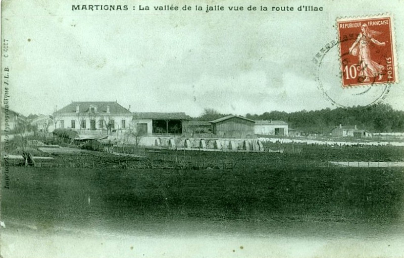 Carte postale ancienne Martignas - vallée de la Jalle