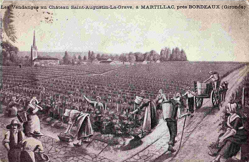 Carte postale ancienne Martillac - château Saint-Augustin 2