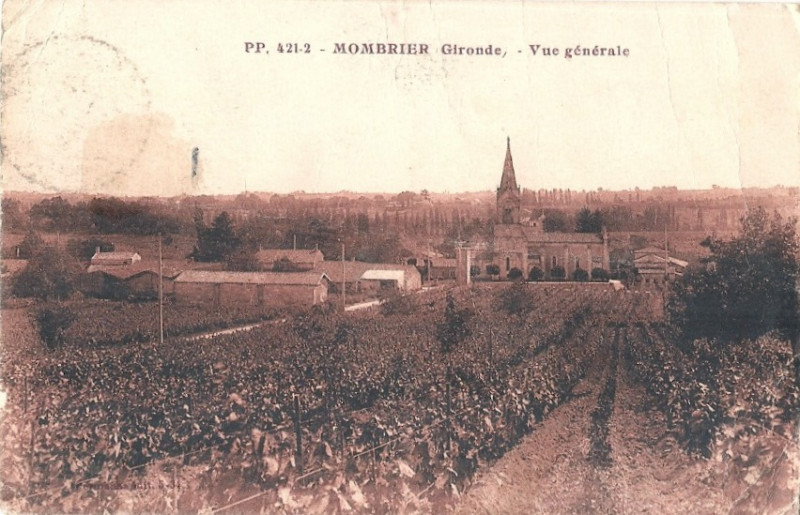 Carte postale ancienne Mombrier - vue générale 7