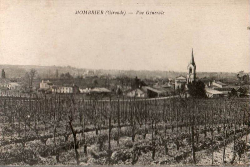 Carte postale ancienne Mombrier - vue générale 8