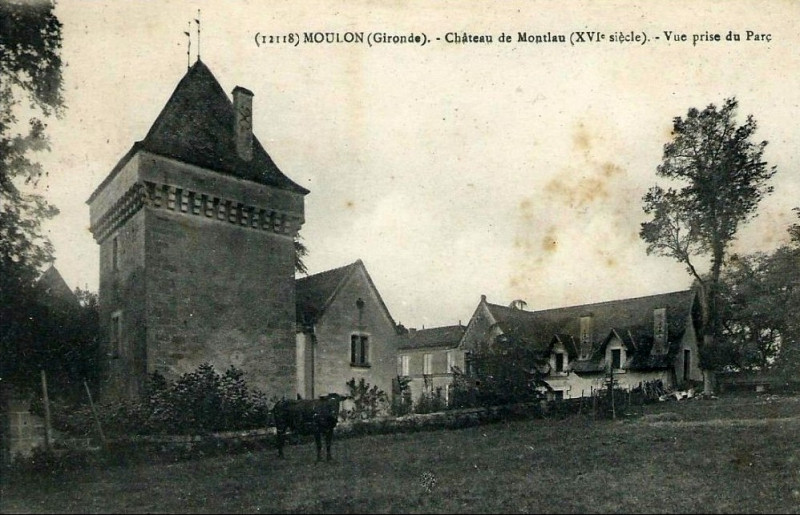 Carte postale ancienne Moulon château de Montlau
