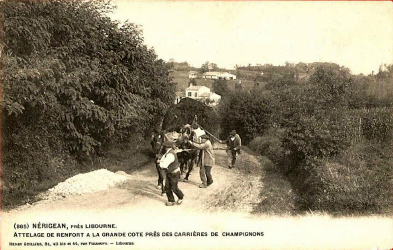 Carte postale ancienne Nérigean - la grande cote