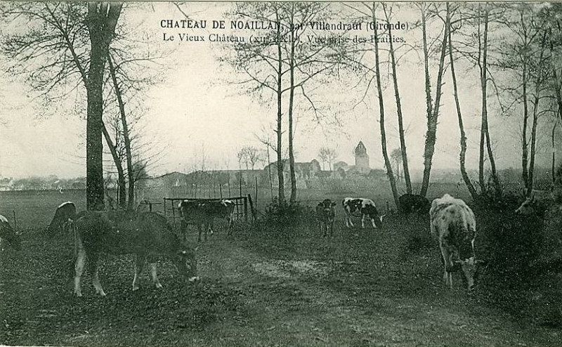 Carte postale ancienne Noaillan - château de Noaillan