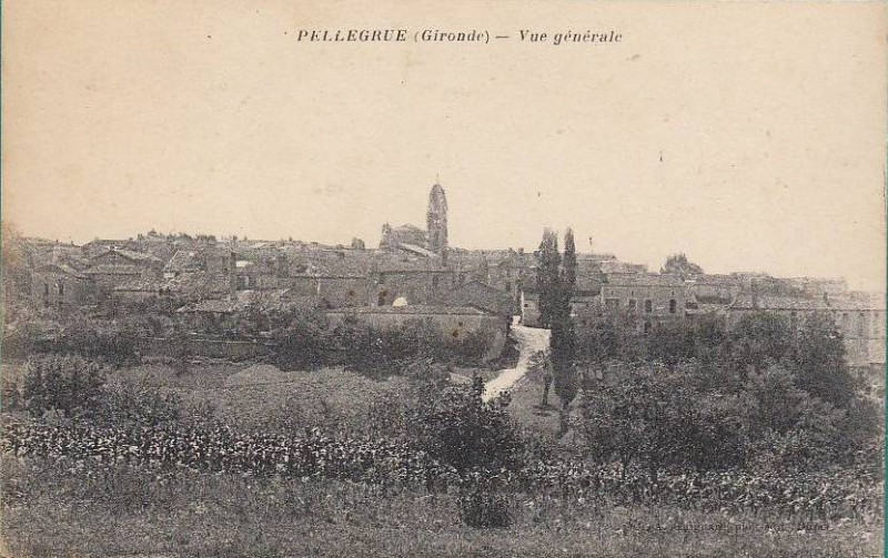 Carte postale ancienne Pellegrue - vue générale 1