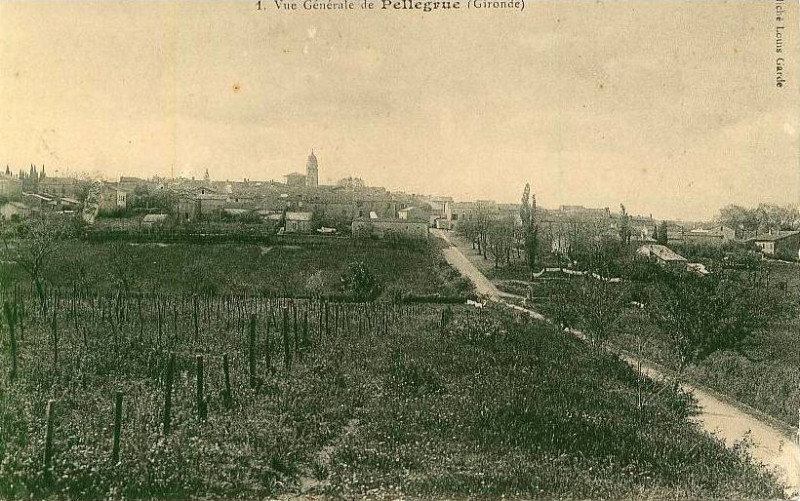 Carte postale ancienne Pellegrue - vue générale 4