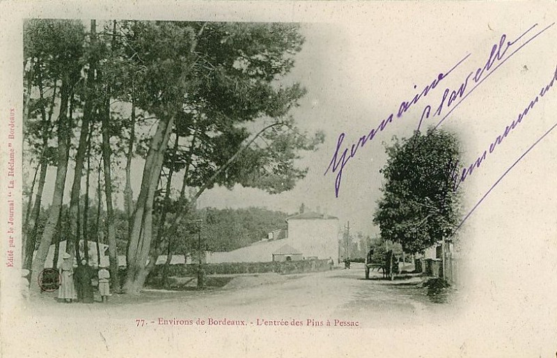 Carte postale ancienne Pessac - les Pins