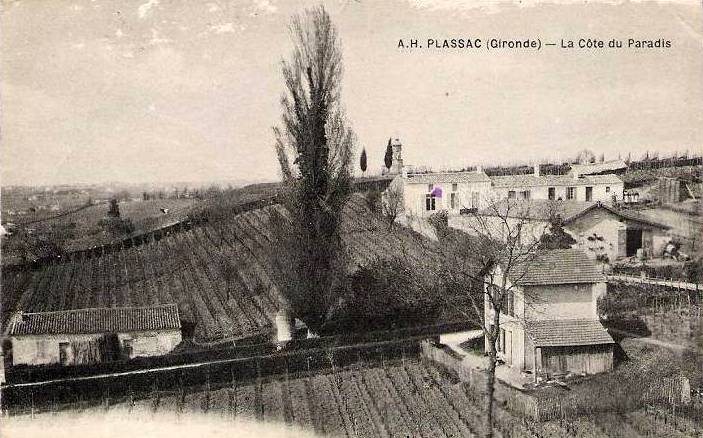 Carte postale ancienne Plassac - vue générale 1