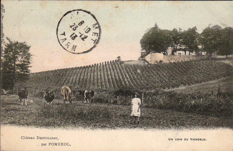 Carte postale ancienne Pomerol - château Drouilleau