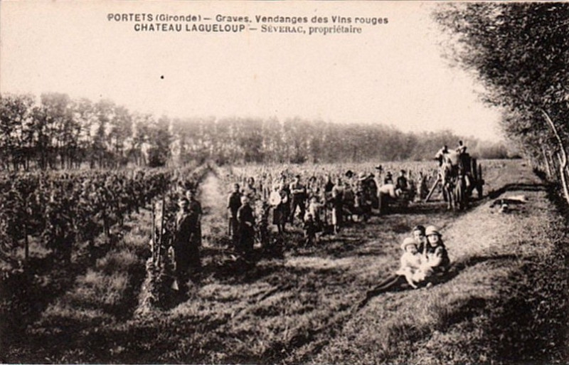 Carte postale ancienne Portets - château Lagueloup 2