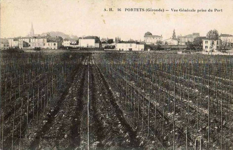 Carte postale ancienne Portets - vue générale 1
