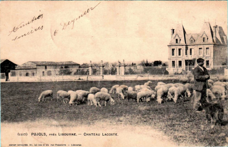 Carte postale ancienne Pujols - château Lacoste