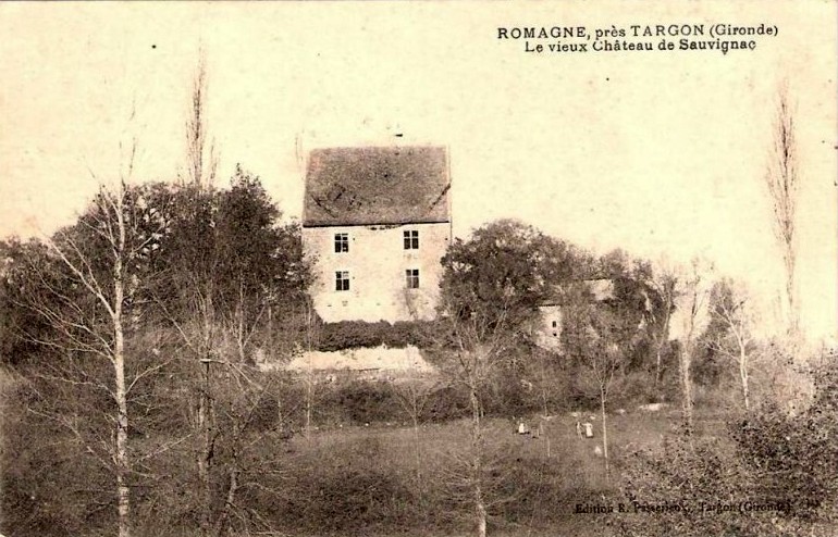 Carte postale ancienne Romagne - château Sauvignac