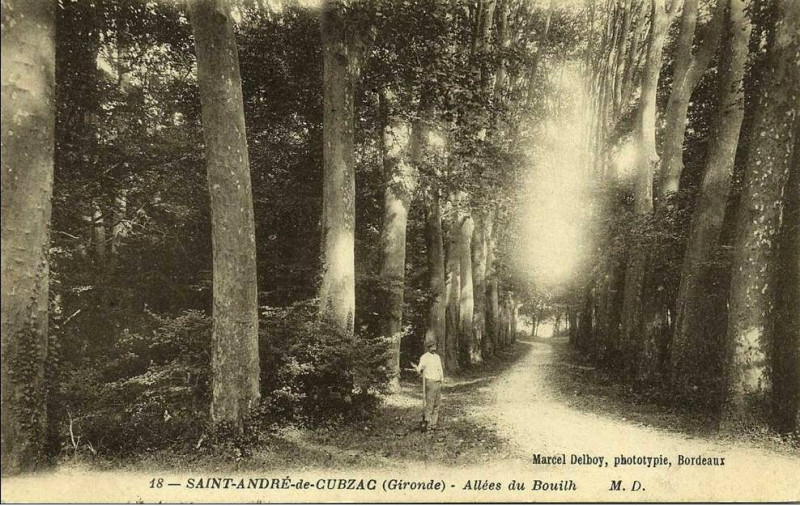 Carte postale ancienne Saint-André-de-Cubzac - château du Bouilh 6