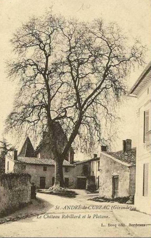 Carte postale ancienne Saint-André-de-Cubzac - château Robillard 2