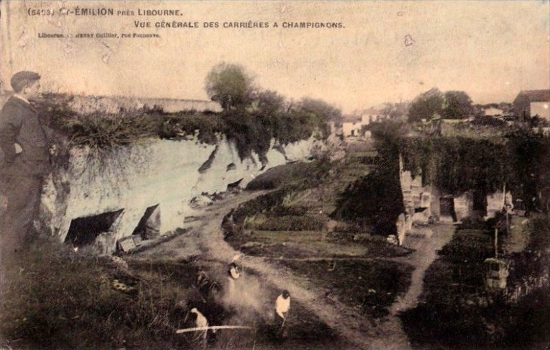 Carte postale ancienne Saint-Emilion - carrières à champignons