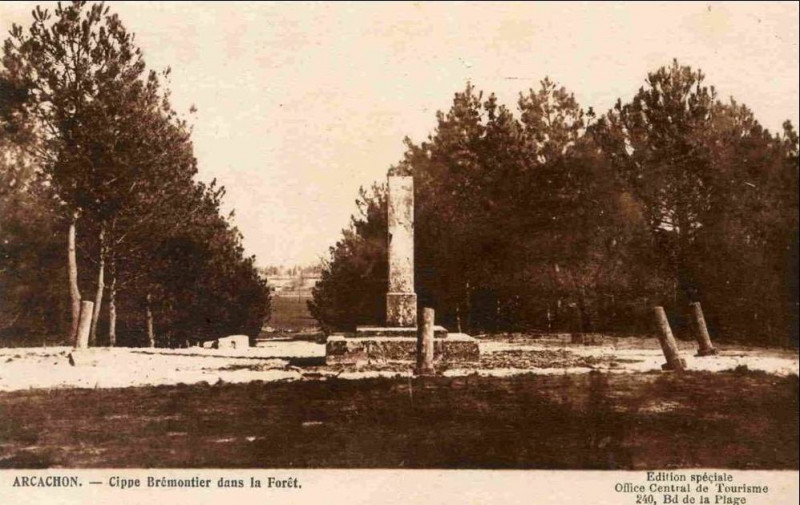 Carte postale ancienne Arcachon - Forêt Cippe de Brémontier
