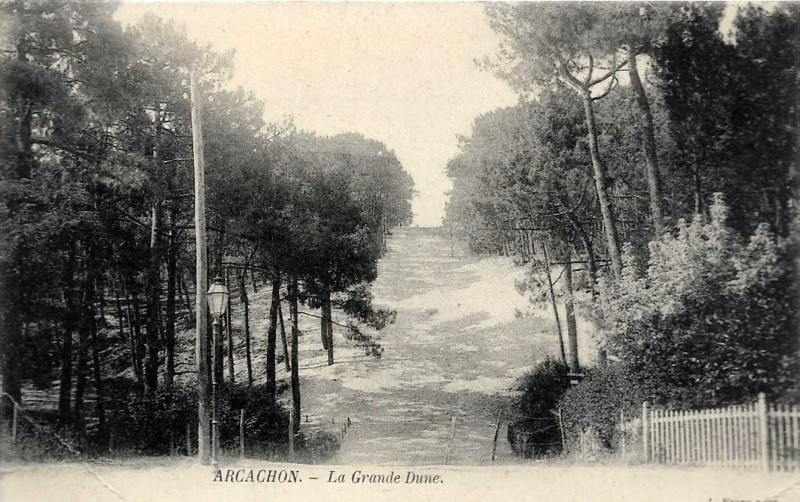 Carte postale ancienne Arcachon - Forêt dunes 11