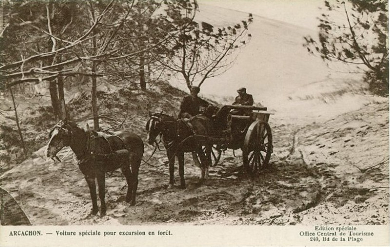 Carte postale ancienne Arcachon - Forêt voiture à sables 3