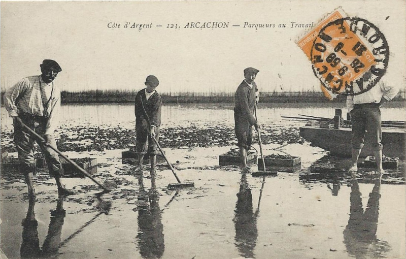 Carte postale ancienne Arcachon - travail au parc aux huitres 9