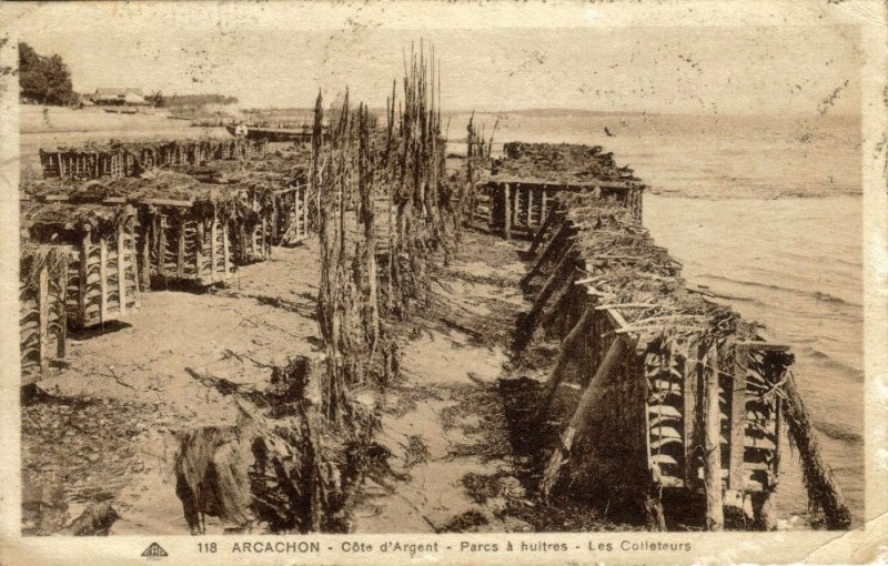 Carte postale ancienne Arcachon - parc aux huitres 12