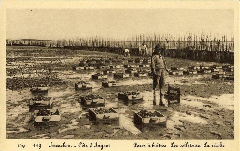 Carte postale ancienne Arcachon - parc aux huitres 8