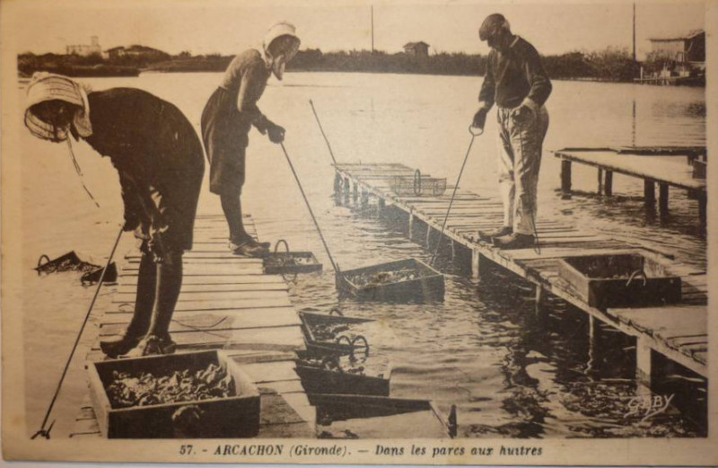 Carte postale ancienne Arcachon - travail de lavage 3