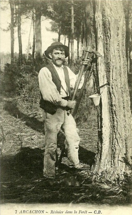 Carte postale ancienne Arcachon - Forêt résinier 2
