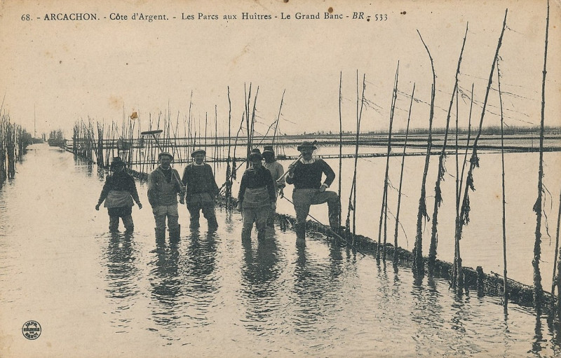 Carte postale ancienne Arcachon - parc aux huitres 4