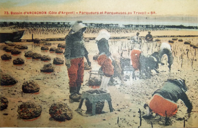Carte postale ancienne Arcachon - travail au parc aux huitres 3a