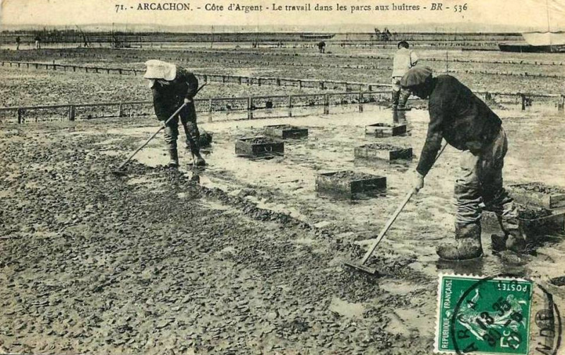 Carte postale ancienne Arcachon - travail au parc aux huitres 4