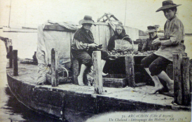 Carte postale ancienne Arcachon - travail de détroquage 8