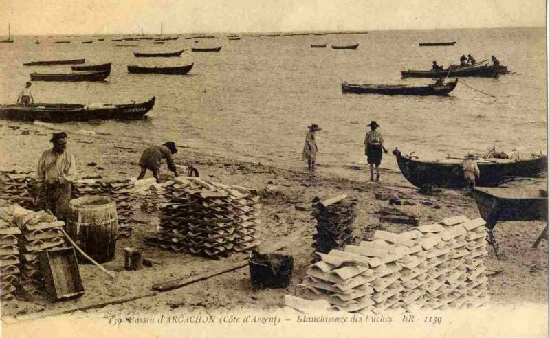 Carte postale ancienne Arcachon - travail de nettoyage 6