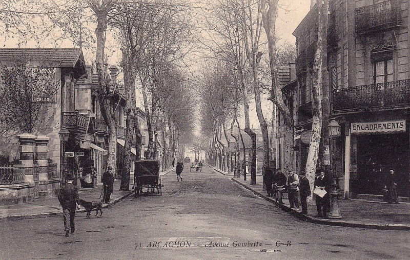 Carte postale ancienne Arcachon - avenue Gambetta 2