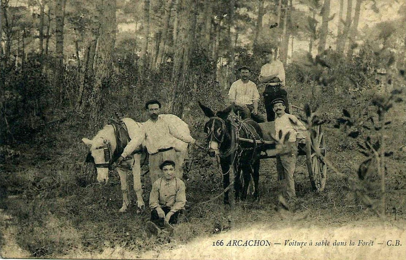 Carte postale ancienne Arcachon - Forêt voiture à sables 5