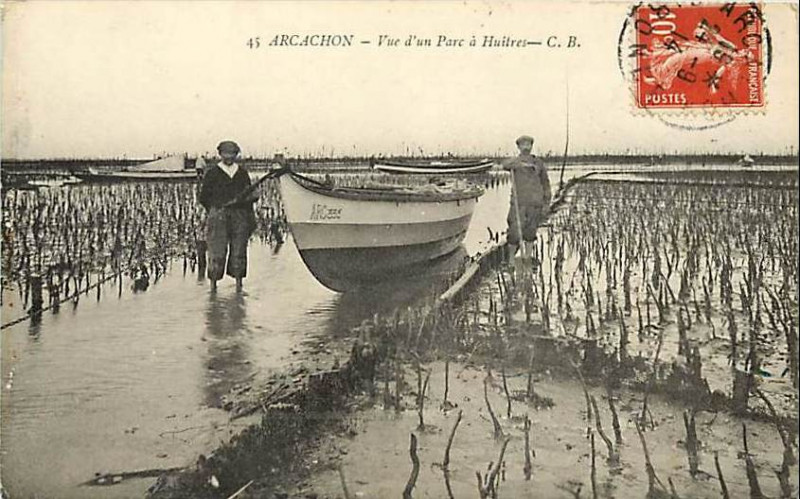 Carte postale ancienne Arcachon - parc aux huitres 5