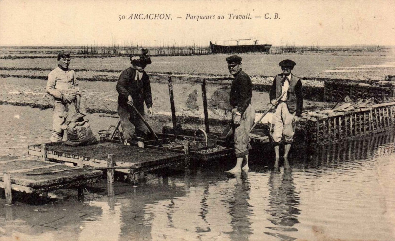 Carte postale ancienne Arcachon - travail au parc aux huitres 7