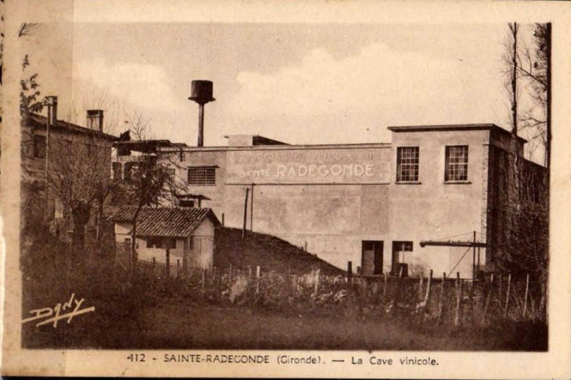 Carte postale ancienne Sainte-Radegonde - Cave vinicole