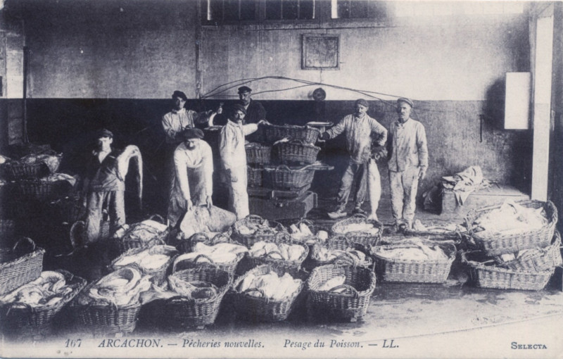 Carte postale ancienne Arcachon - pêcheurs 10