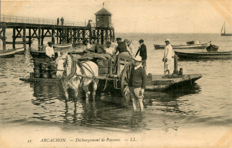 Carte postale ancienne Arcachon - pêcheurs 9