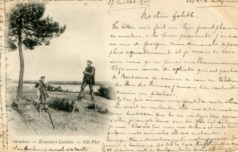 Carte postale ancienne Arcachon - Forêt berger 4