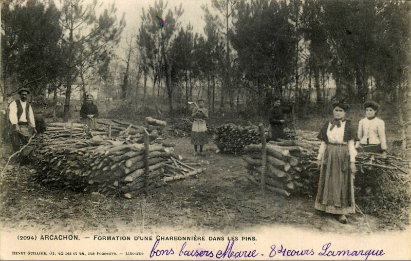 Carte postale ancienne Arcachon - Forêt charbonier 1
