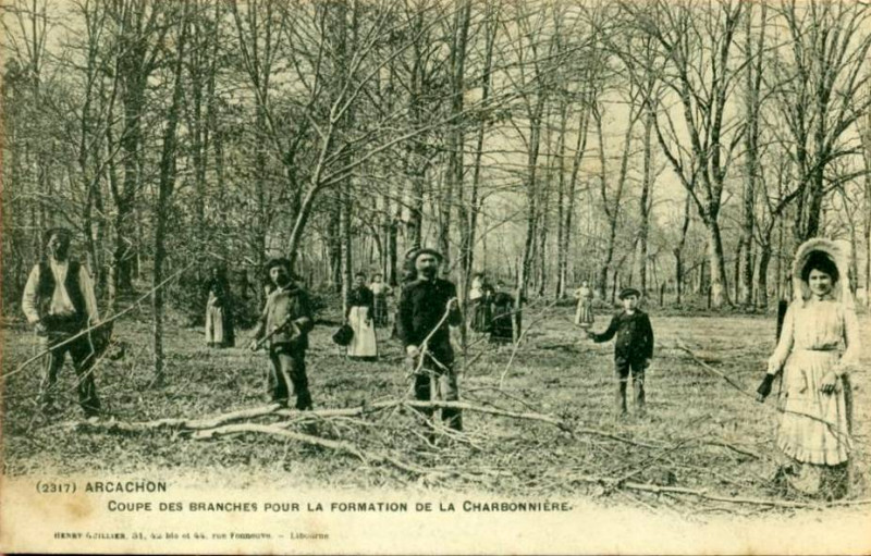 Carte postale ancienne Arcachon - Forêt charbonier 2