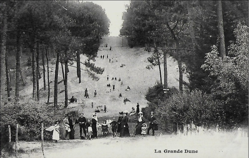 Carte postale ancienne Arcachon - Forêt dunes 12