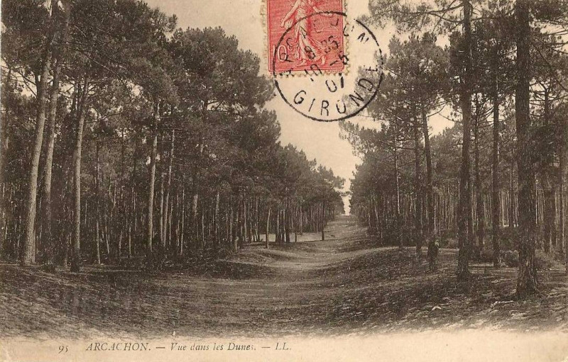 Carte postale ancienne Arcachon - Forêt dunes 13