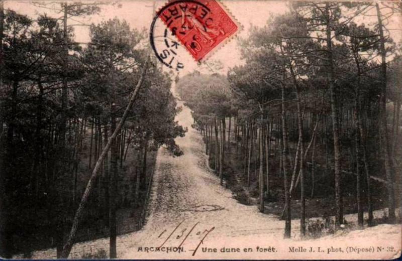 Carte postale ancienne Arcachon - Forêt dunes 14