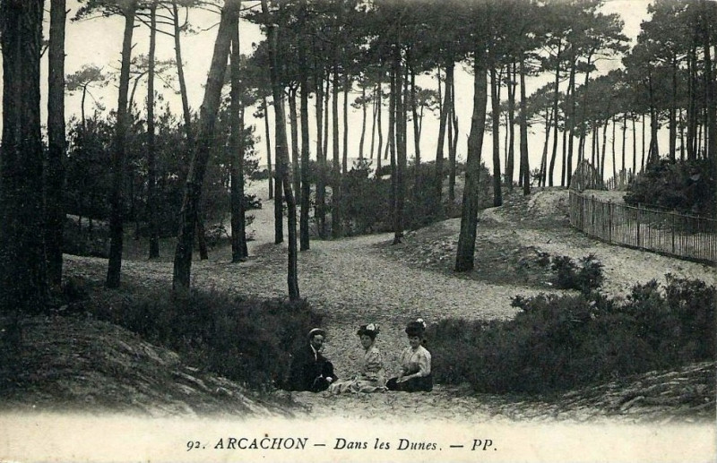 Carte postale ancienne Arcachon - Forêt dunes 16