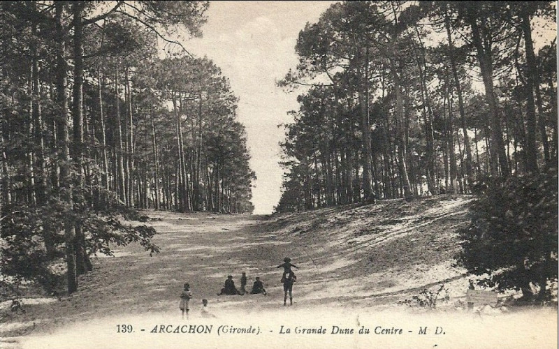 Carte postale ancienne Arcachon - Forêt dunes 2